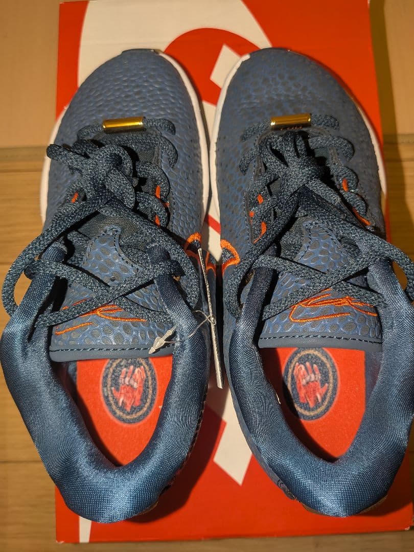 シューズ(女性用) NIKE LEBRON 21 OLYMPIC (GS) FV3606-400