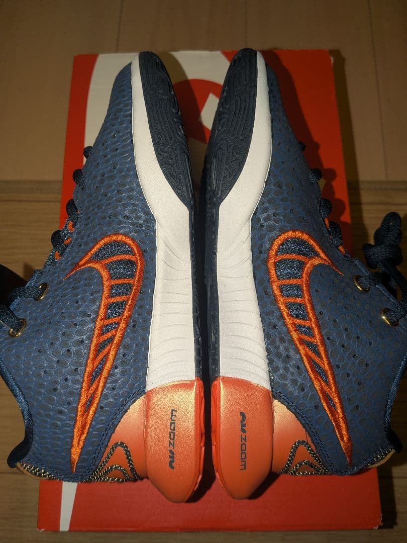 シューズ(女性用) NIKE LEBRON 21 OLYMPIC (GS) FV3606-400