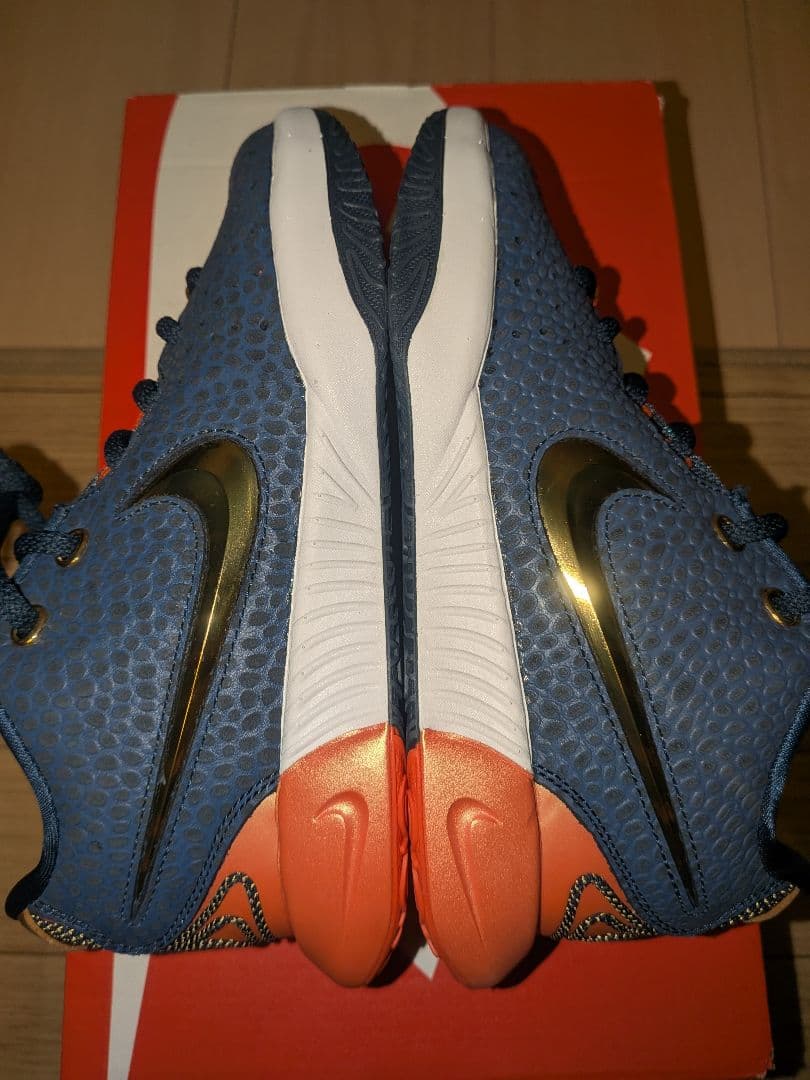 シューズ(女性用) NIKE LEBRON 21 OLYMPIC (GS) FV3606-400