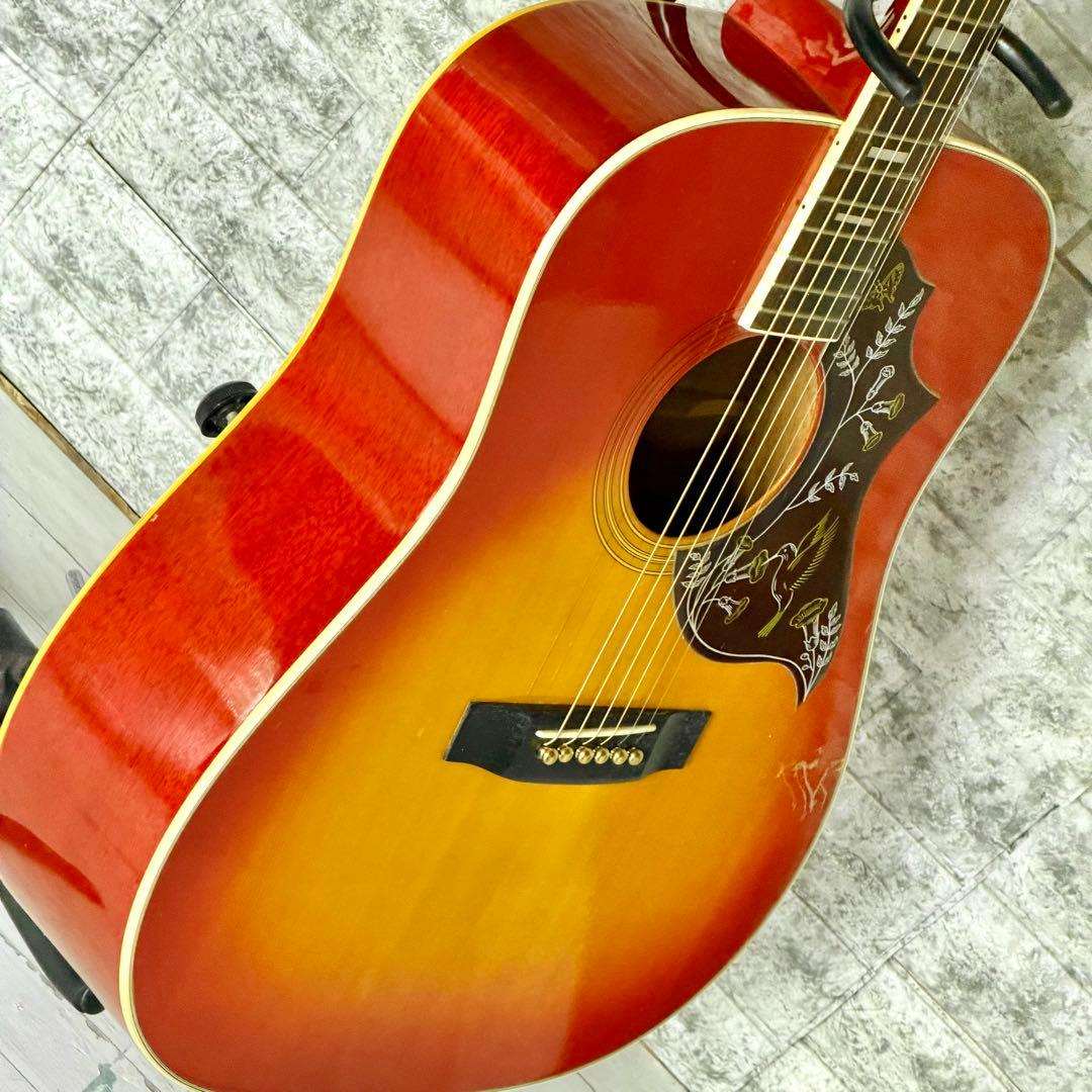 Morris「WH-20」'70年代アコースティックギター