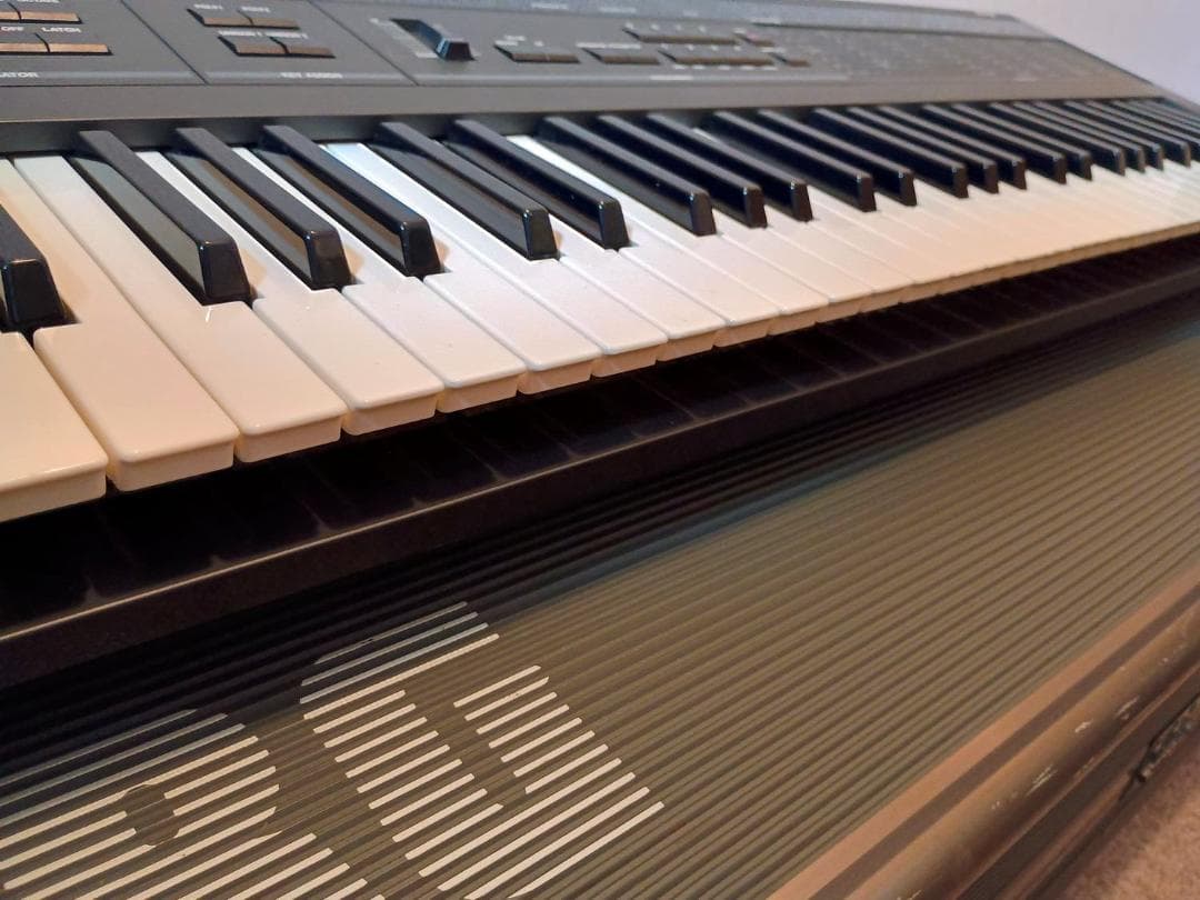 【希少・美品】KORG DW-8000 専用ハードケース付（動作未確認）