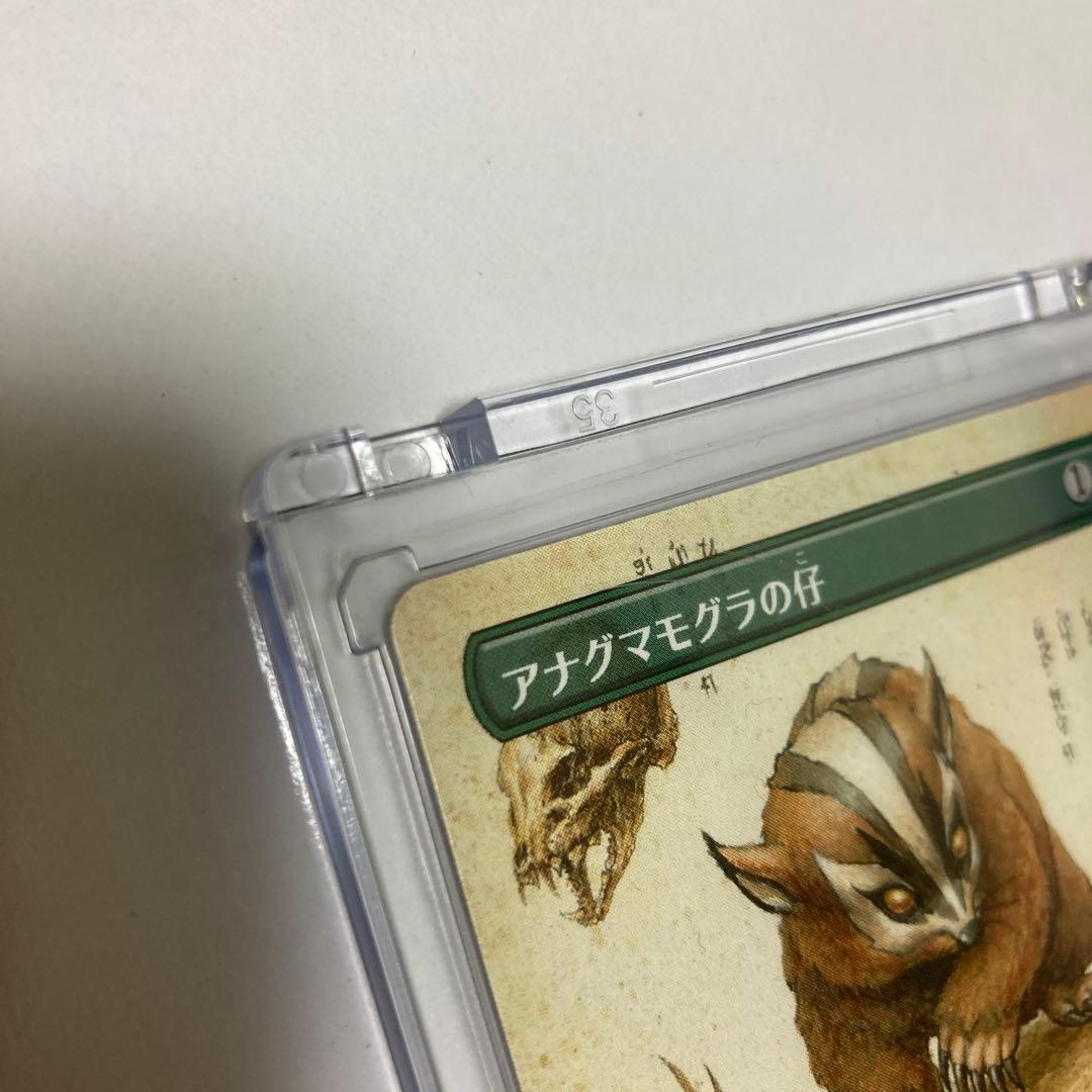c*l様 MTG アナグマモグラの仔/Badgermole Cub ボーダーレス