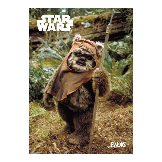 スターウォーズ イウォーク ラスト賞 ウィケットBIGぬいぐるみ+その他