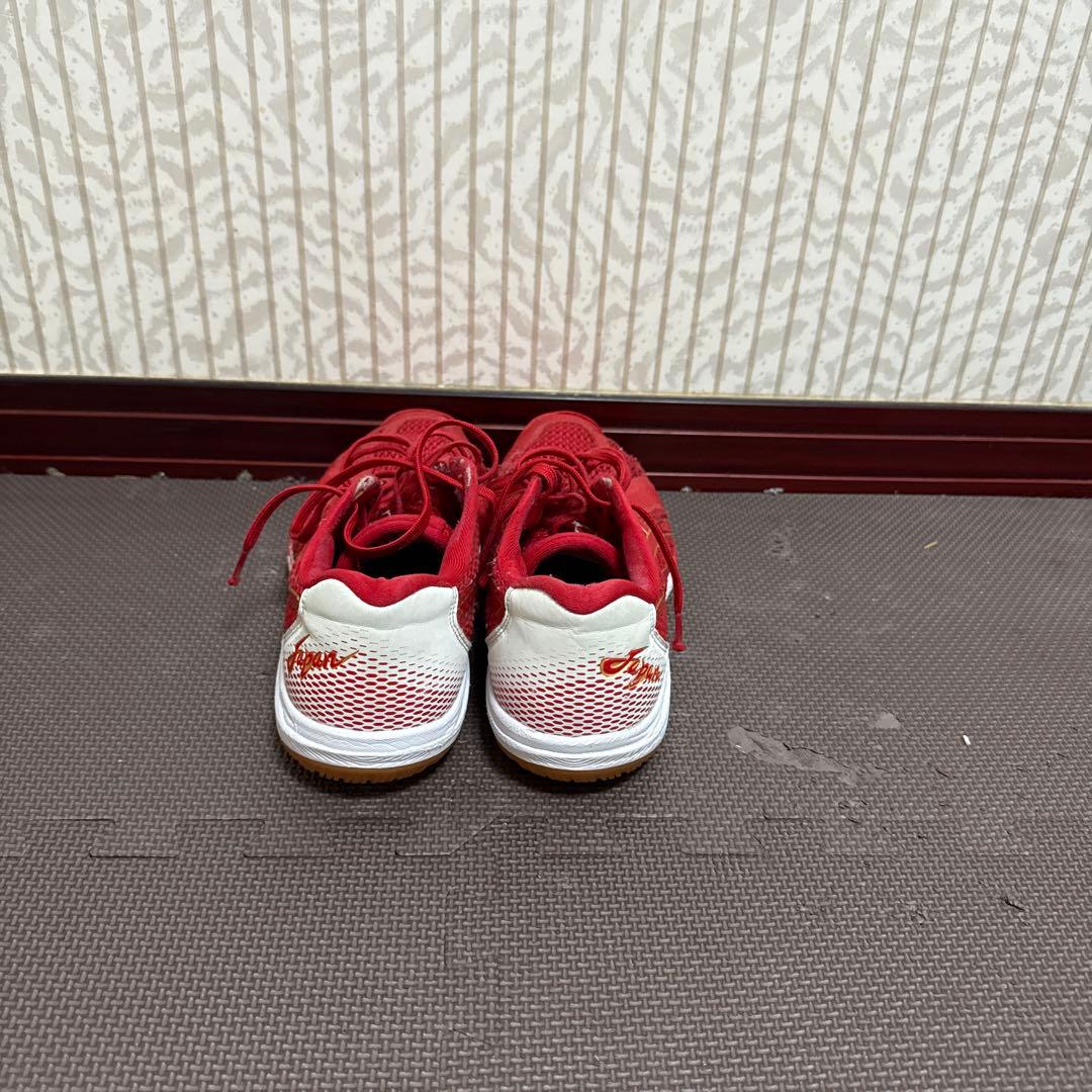 Mizuno バレーボールシューズ関田誠大選手モデル (おまけ付き)(26cm)