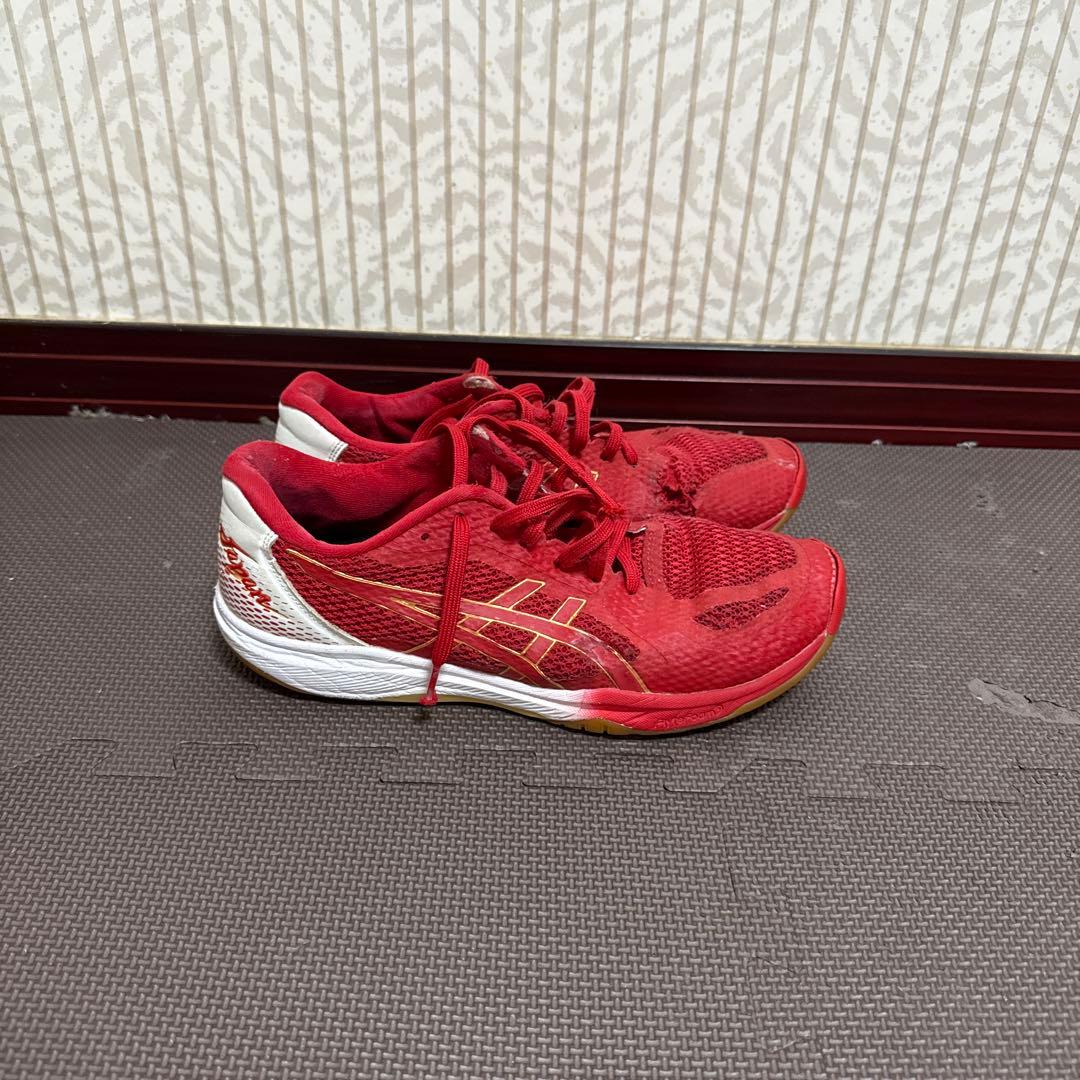 Mizuno バレーボールシューズ関田誠大選手モデル (おまけ付き)(26cm)
