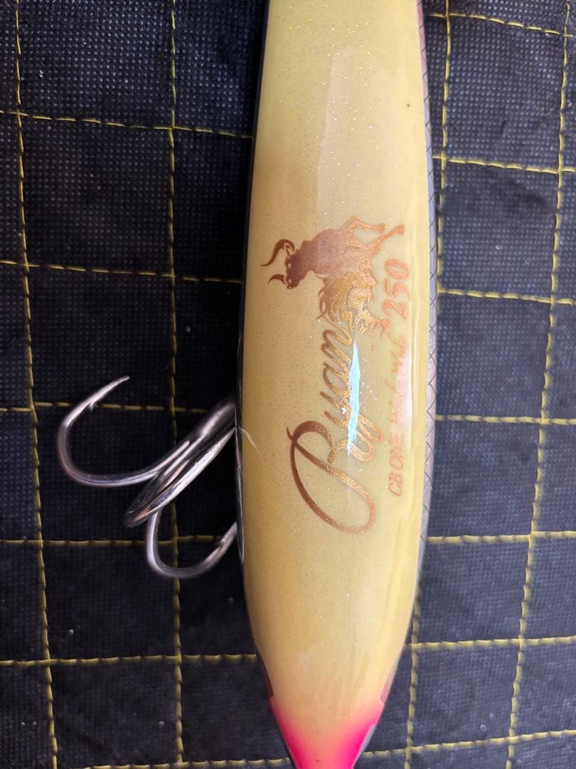 ライアン　250