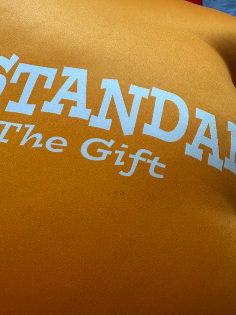 Hi-STANDARD ブランケットとクッションセット