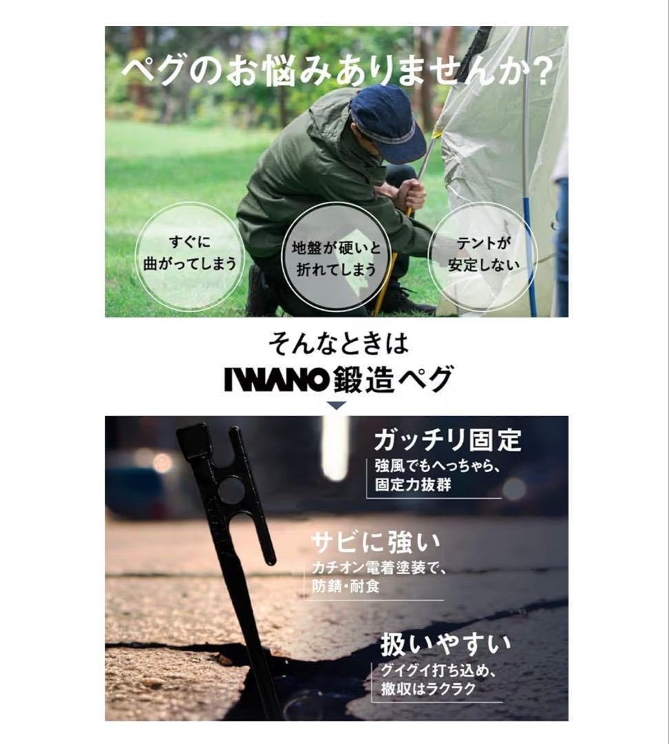 ✨新品✨【Iwano】鍛造ペグ30cm ブラック16本➕持ち運びに便利なバック