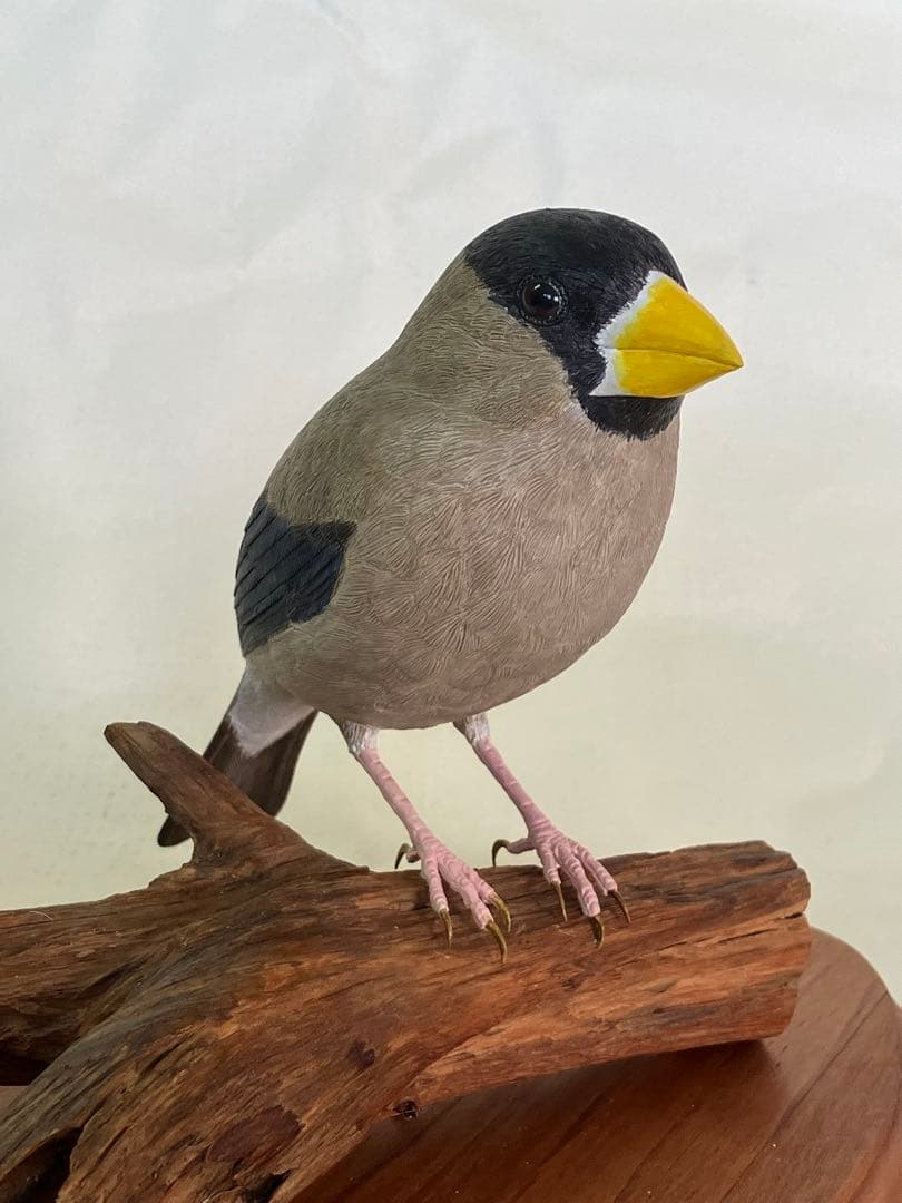 バードカービング木製鳥の彫刻(イカル)