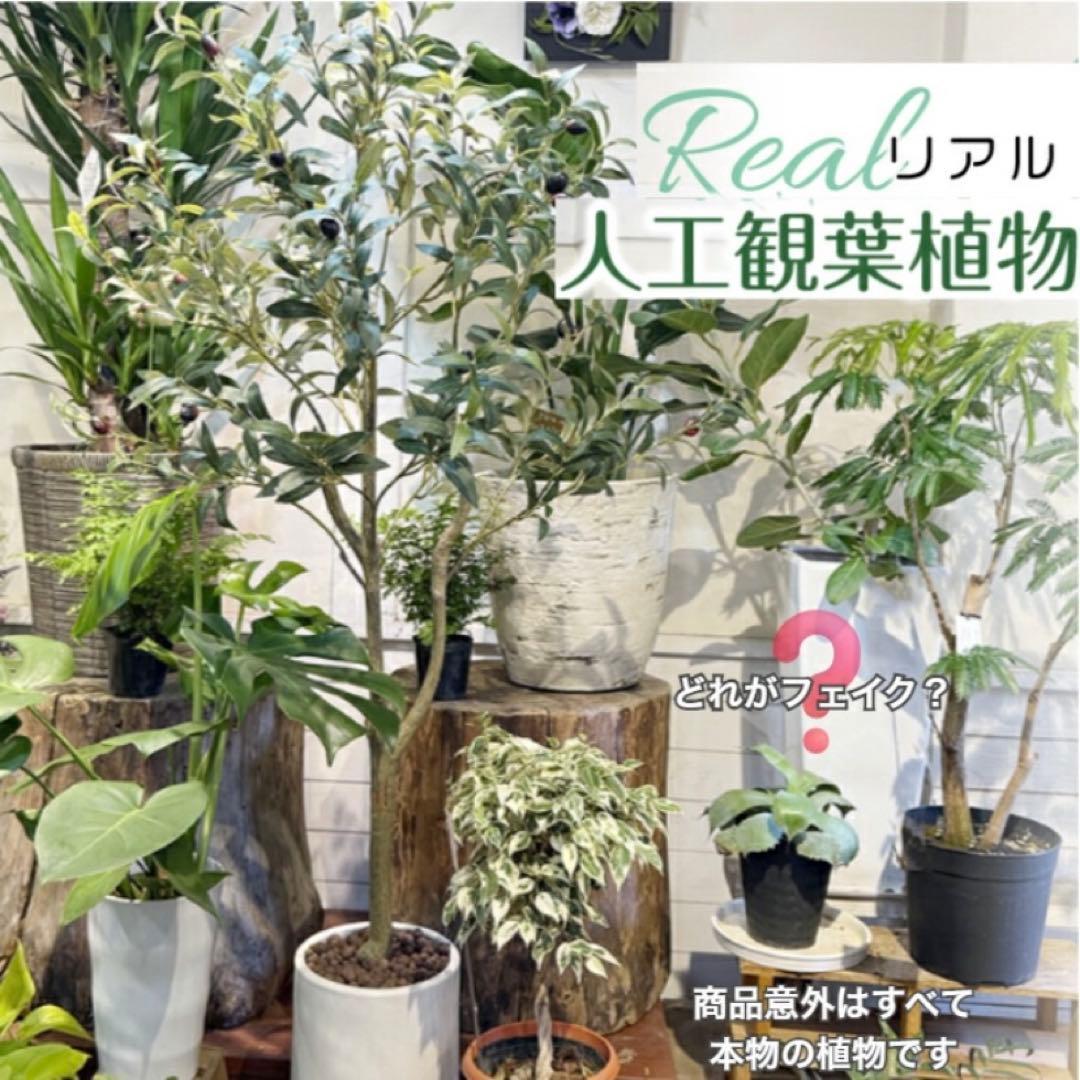 【新品】フェイクグリーン オリーブ 120cm 人工観葉植物 大型 生花店監修