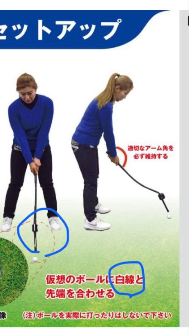 3D Swing Mentor TASK GOLF タスクゴルフ 練習器具 矯