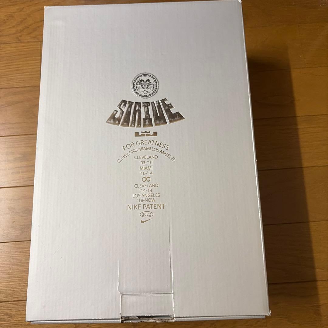 Nikeレブロン20 クリスマス