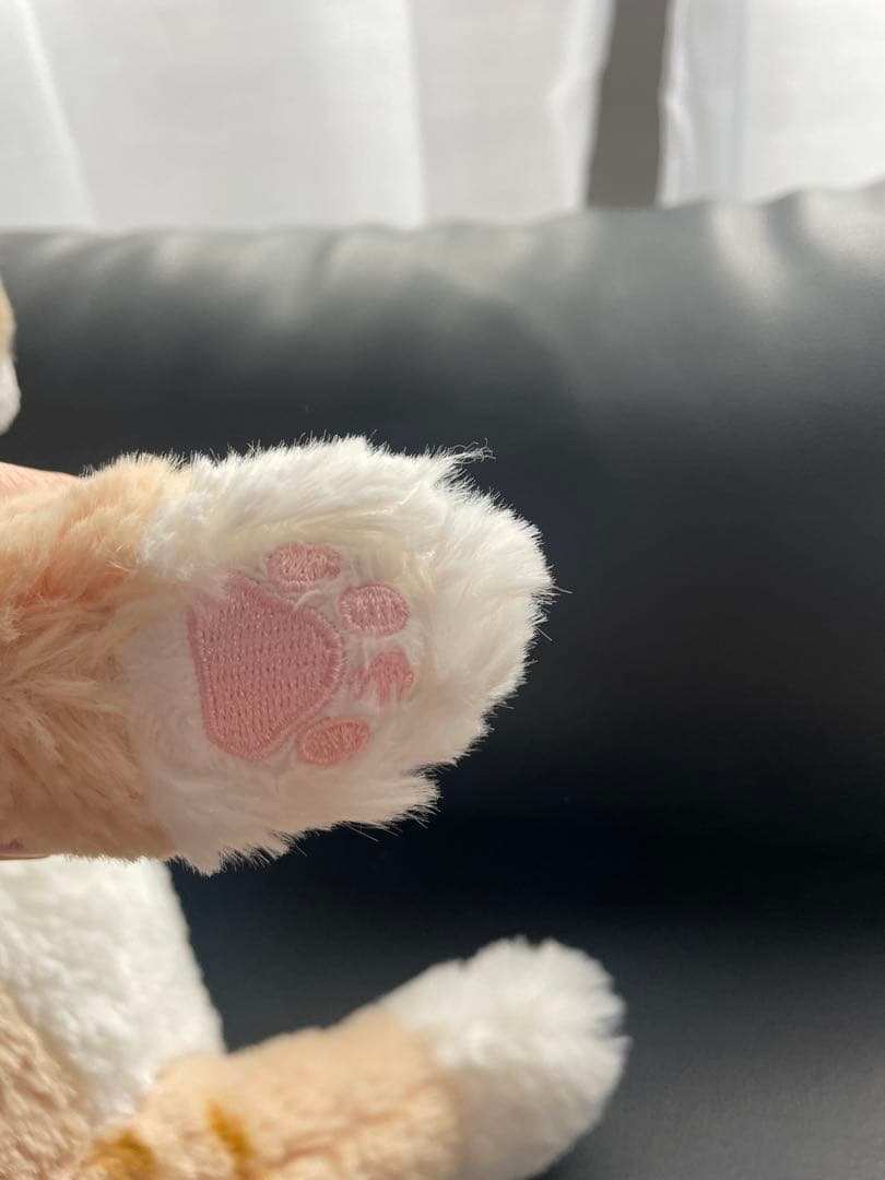 レア‼️ひざねこ 茶トラ ちゃん