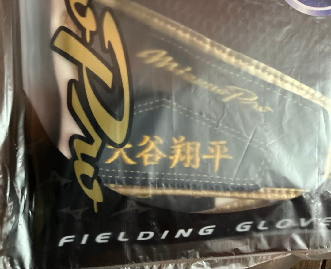 大谷翔平　刺繍入り　守備グローブ L Mizuno 捕手専用