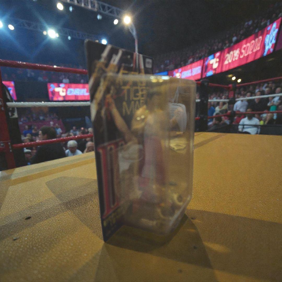 初代タイガーマスク フィギュア 佐山聡 新日本プロレス タイガーマスク プロレス
