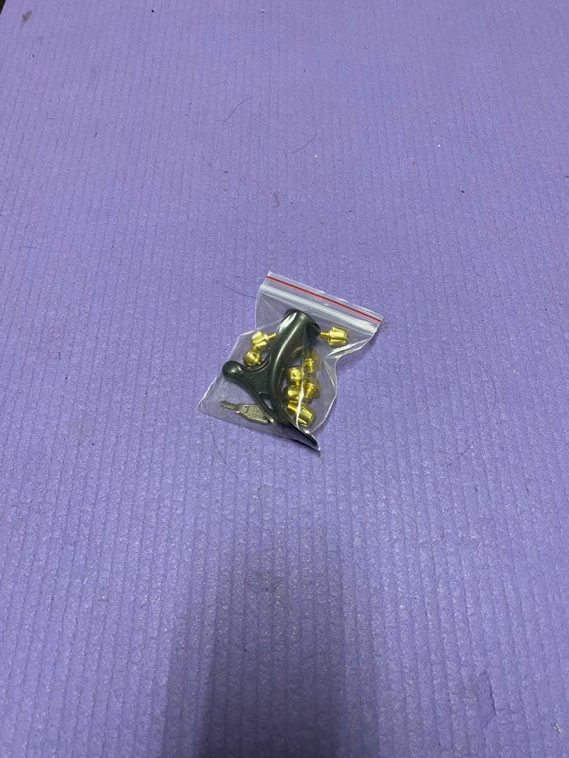 DS ライト　sg