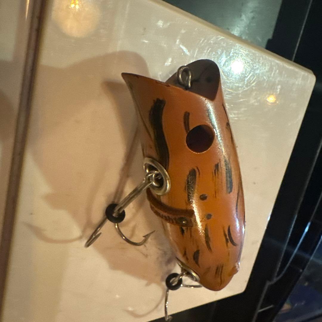 痴虫 ダーター