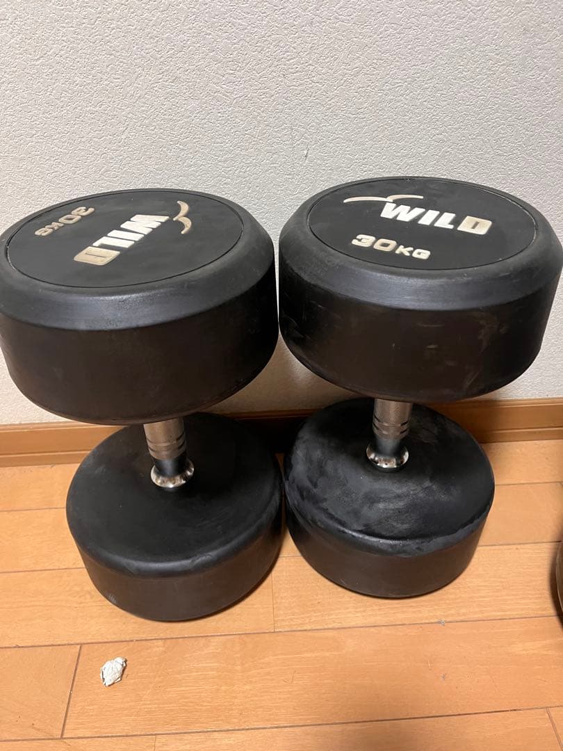 WILD 30kg ダンベル 中古品