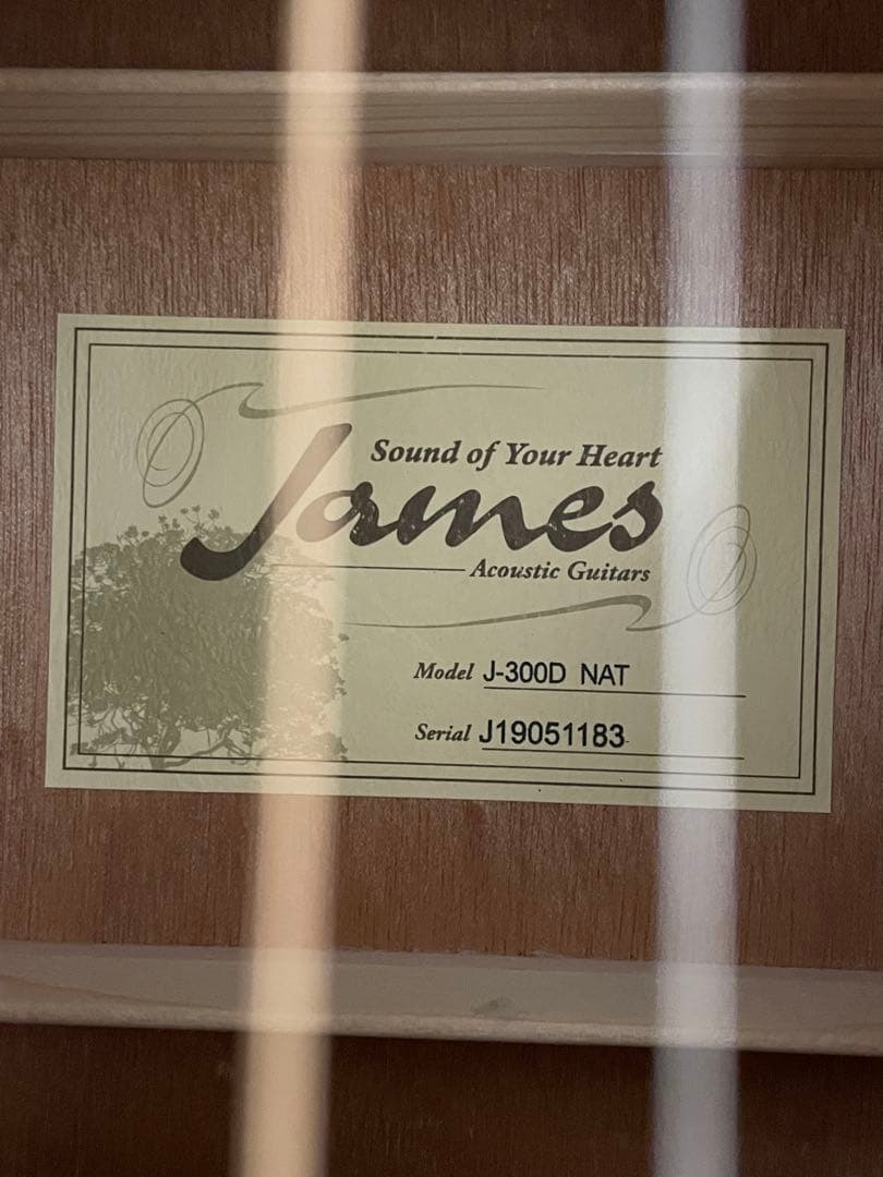 (美品) James J-300D NAT アコースティックギター