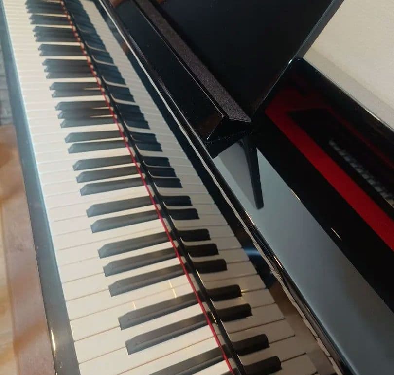 CASIO GP-510BP ハイブリッドピアノ セルヴィアーノ【完動品】美品