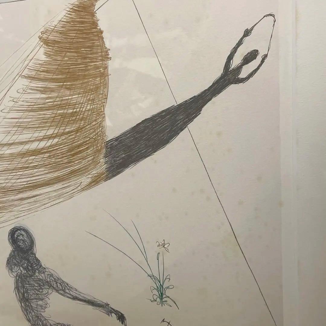 サルバドール・ダリ「不思議の国のアリス」版画　直筆サイン　シリアルナンバー