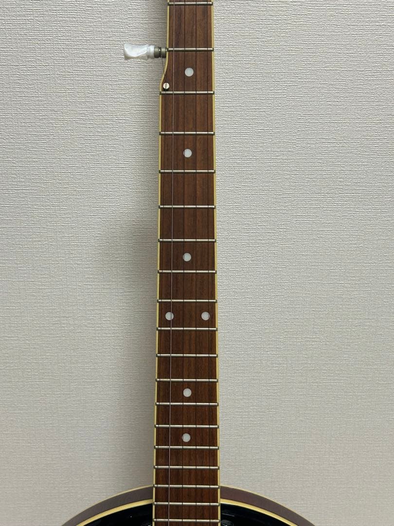 Aria 5弦バンジョー SB-100