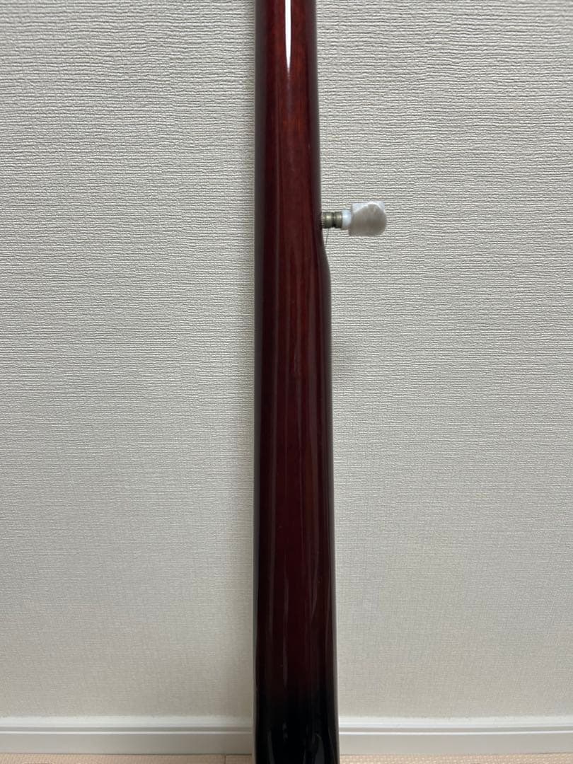Aria 5弦バンジョー SB-100