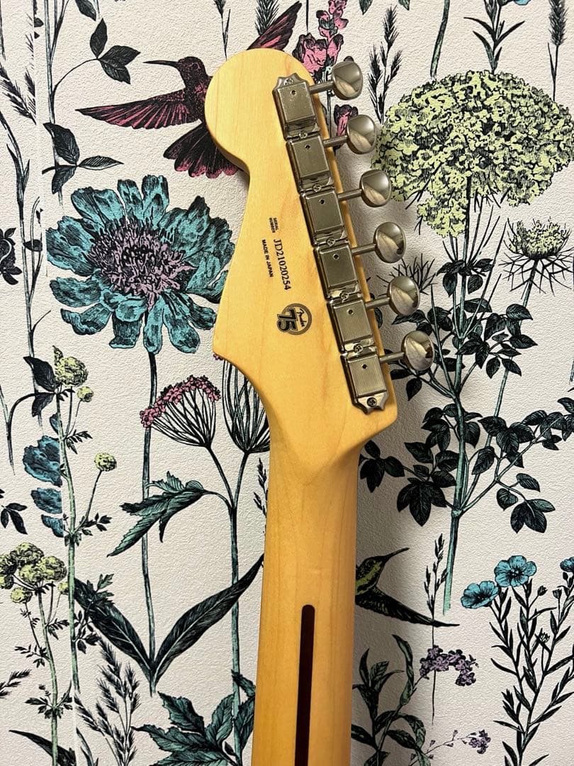 fender hybridⅡ strato caster