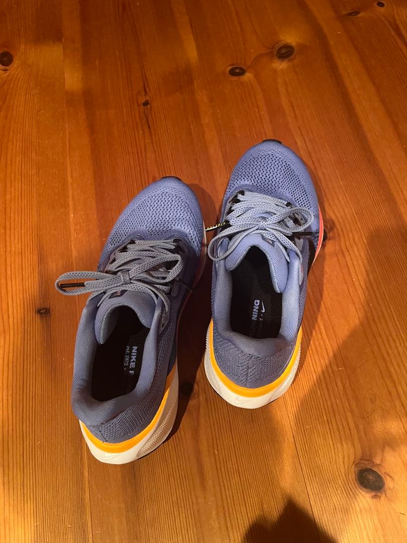 NIKE ペガサス41