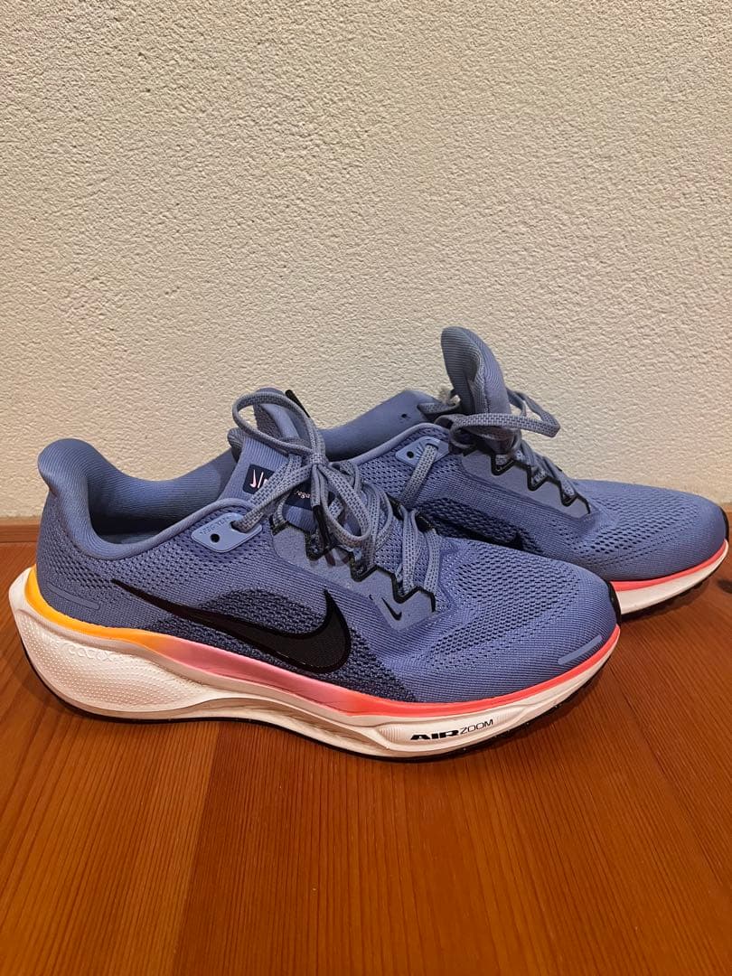 NIKE ペガサス41