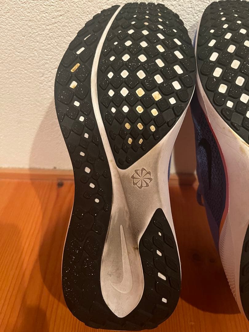 NIKE ペガサス41