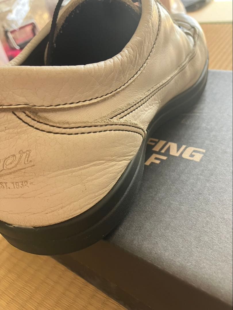 BRIEFING×DANNER LT GOLF シューズ　28cm