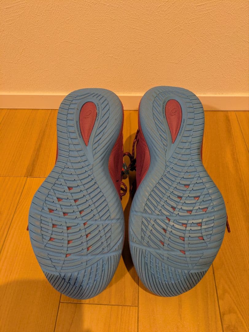 アシックス　nova surge low2　(ノヴァサージロー2)　26.0cm
