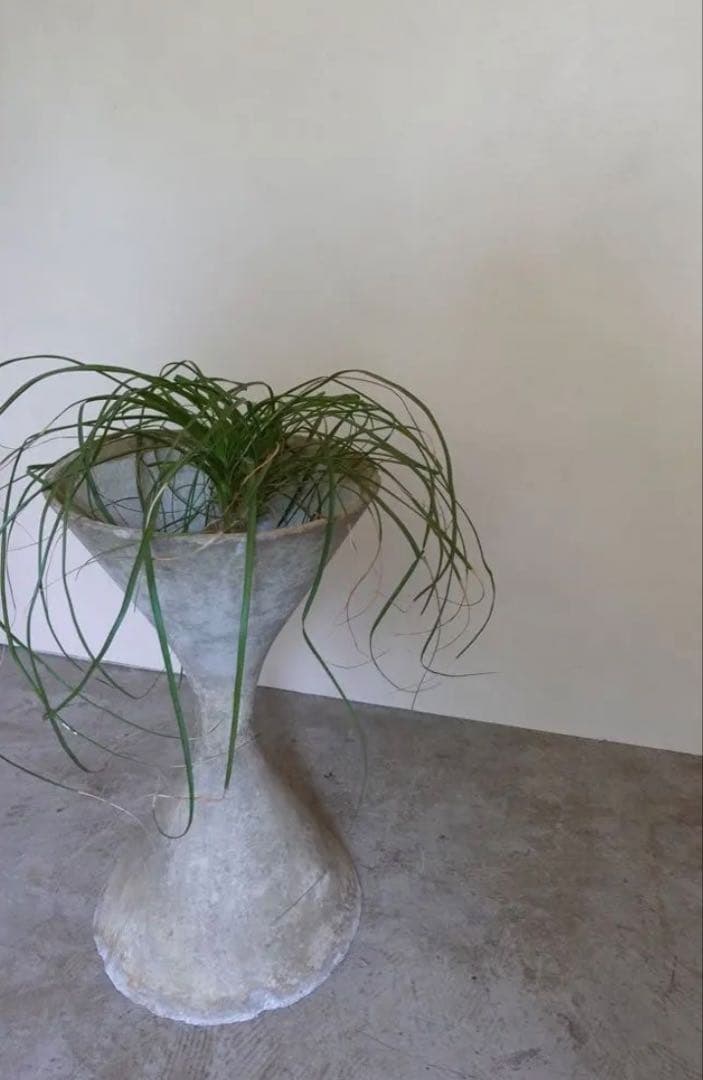 レア Willy Guhl planter pot プランターポット