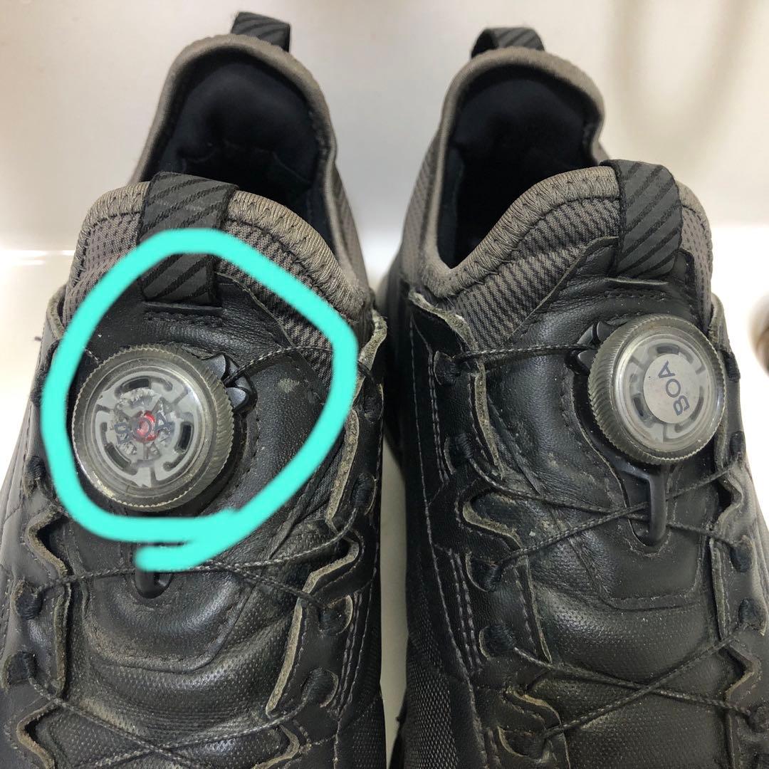 ECCOエコーバイオムC4ボア防水 スパイクレス ゴルフシューズ 2024モデル