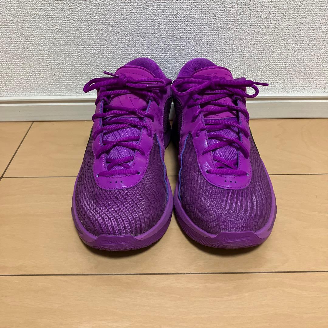Nike ヤニス フリーク6 EP 紫/緑