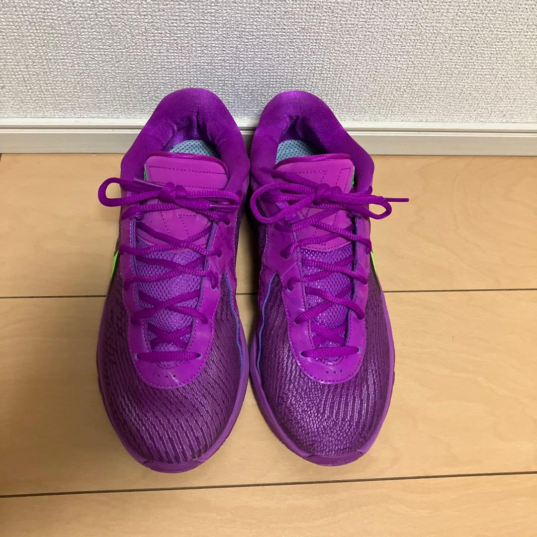 Nike ヤニス フリーク6 EP 紫/緑