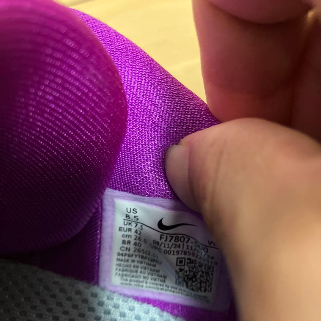 Nike ヤニス フリーク6 EP 紫/緑