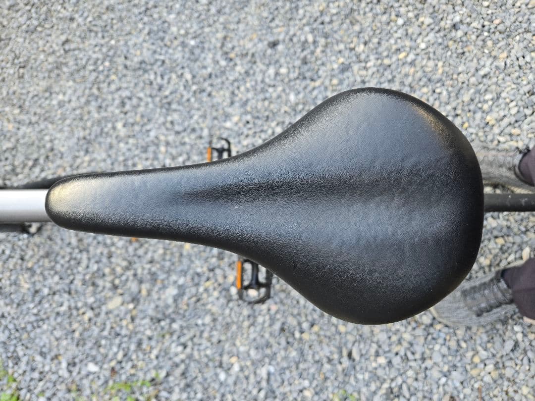 p*n様 《直接引き取り可》TERN SURGE 520 ミニベロ自転車 16速