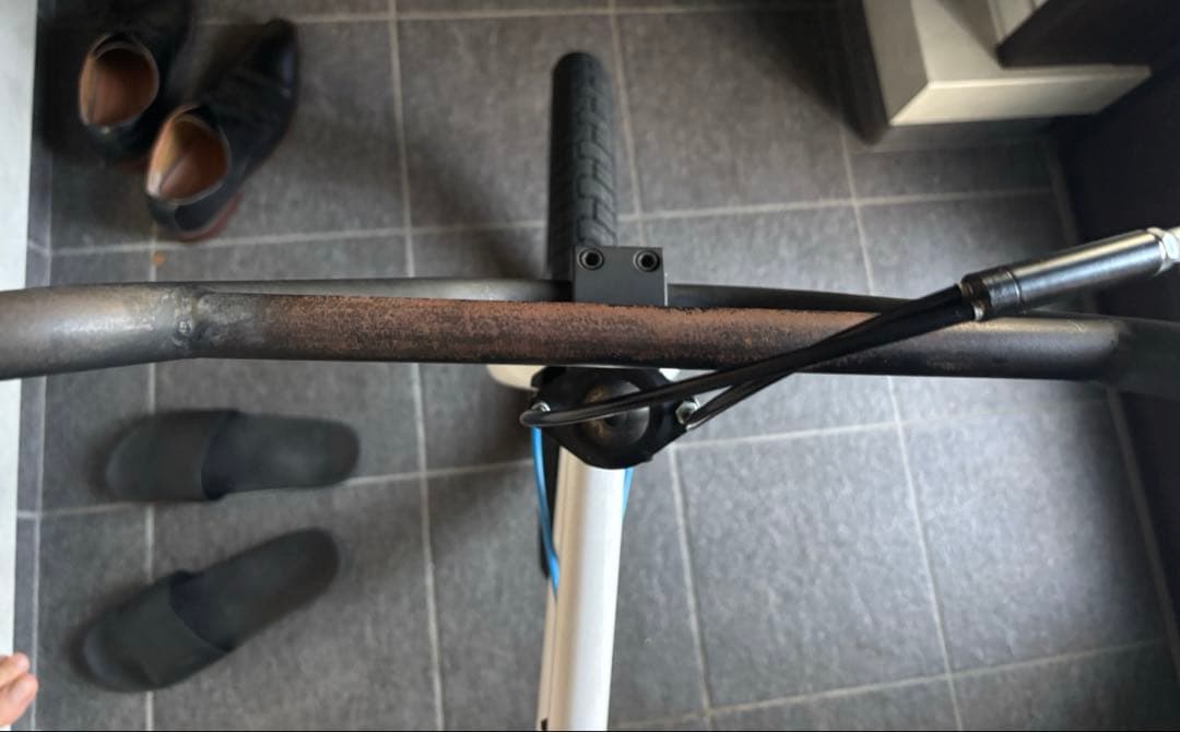 ホワイト BMX 20インチ シングルスピード　自転車