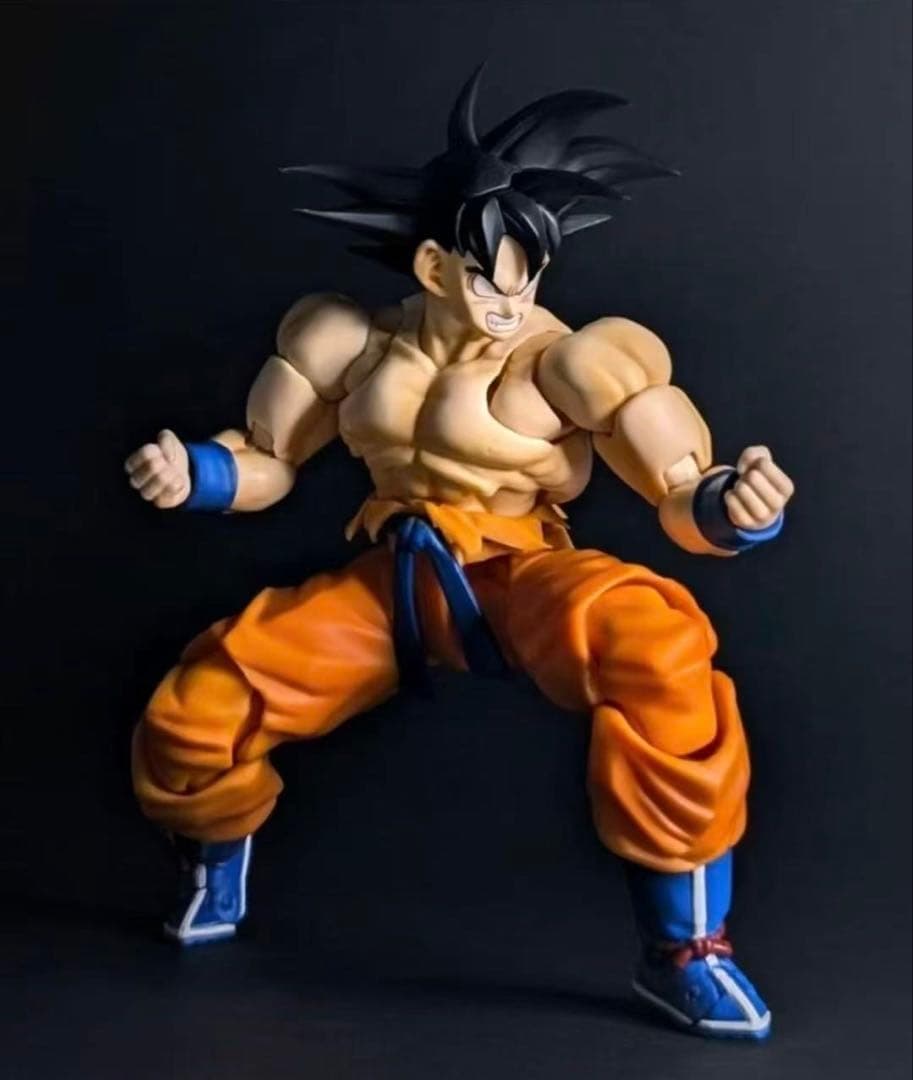 海外限定S.H.Figuartsサイズ 孫悟空　ベジータ戦