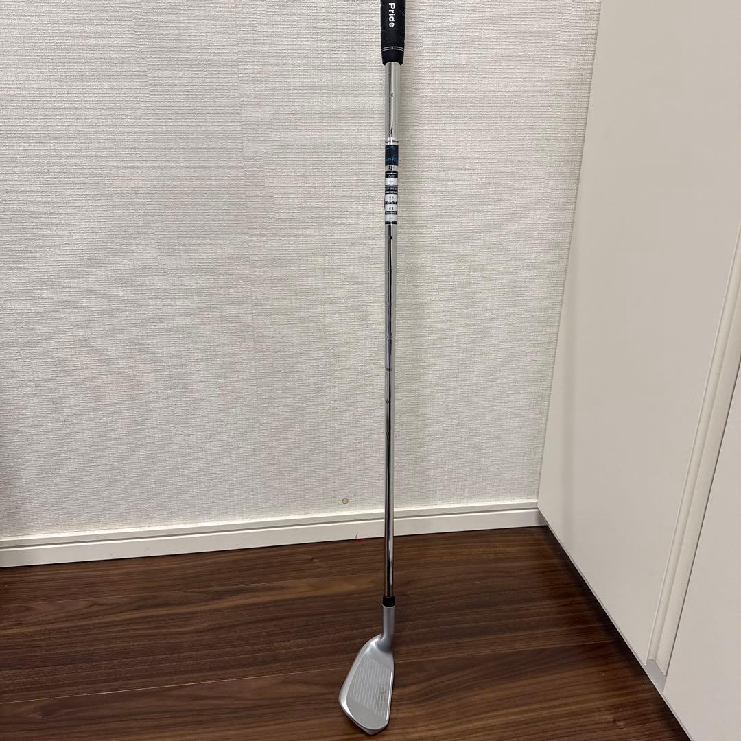 Dolphin Pitch & Run Wedge DPWー119 48度