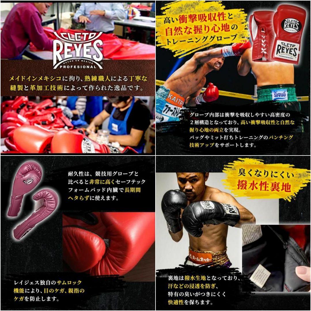 REYES safetec レイジェス セーフテック ボクシンググローブ 8oz