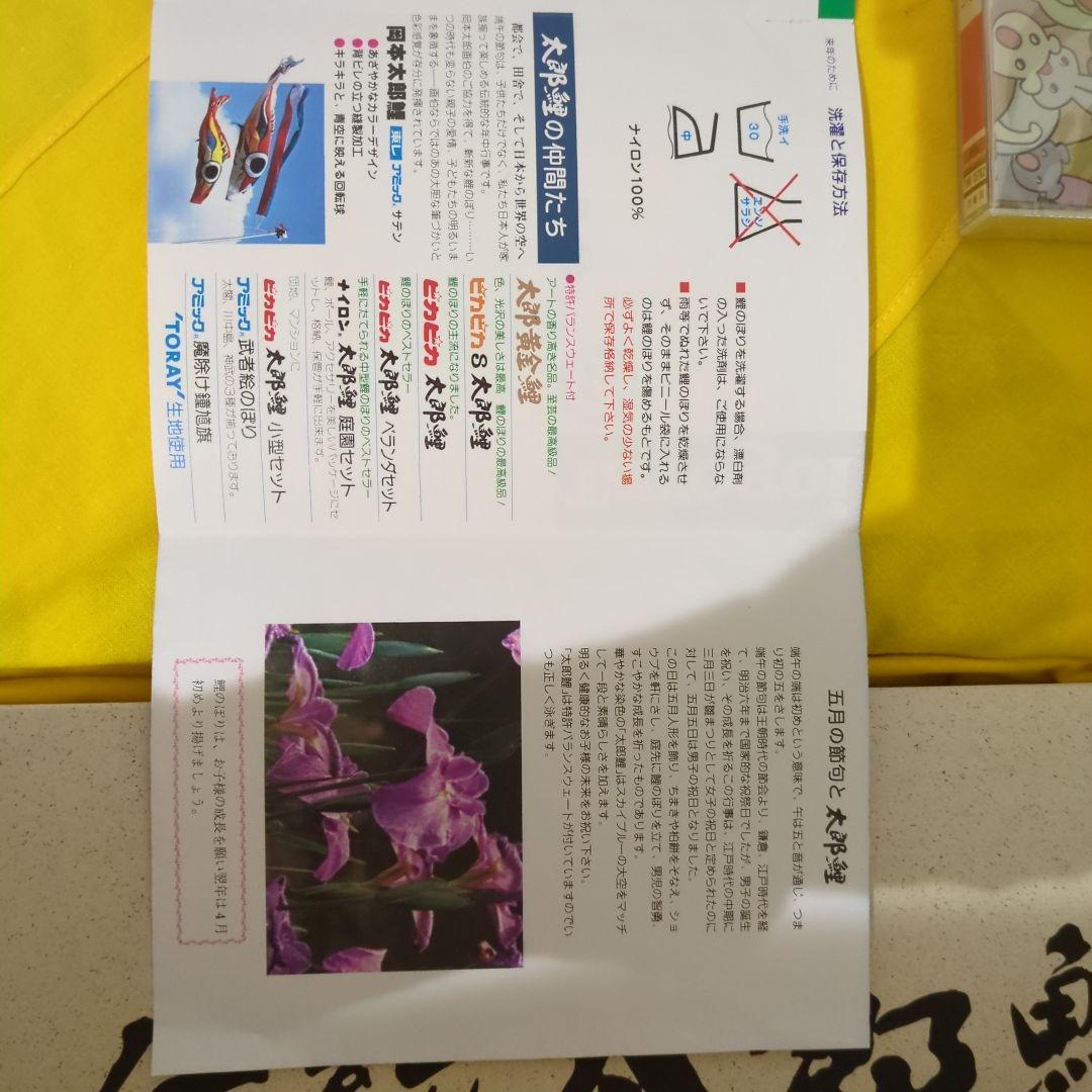 鯉のぼり