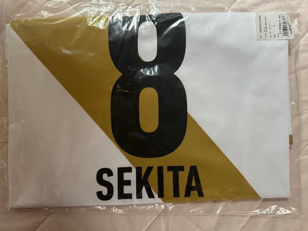 svリーグ オールスター 関田