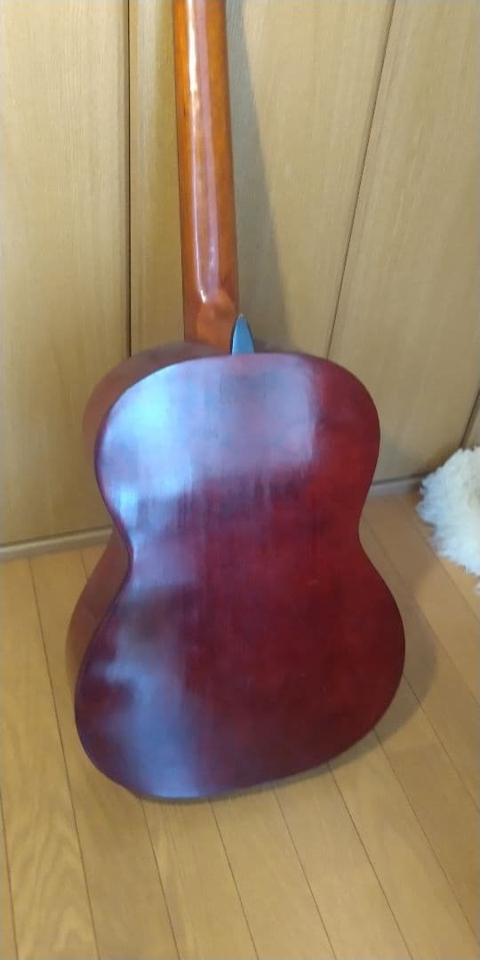 Abe Gut ギター