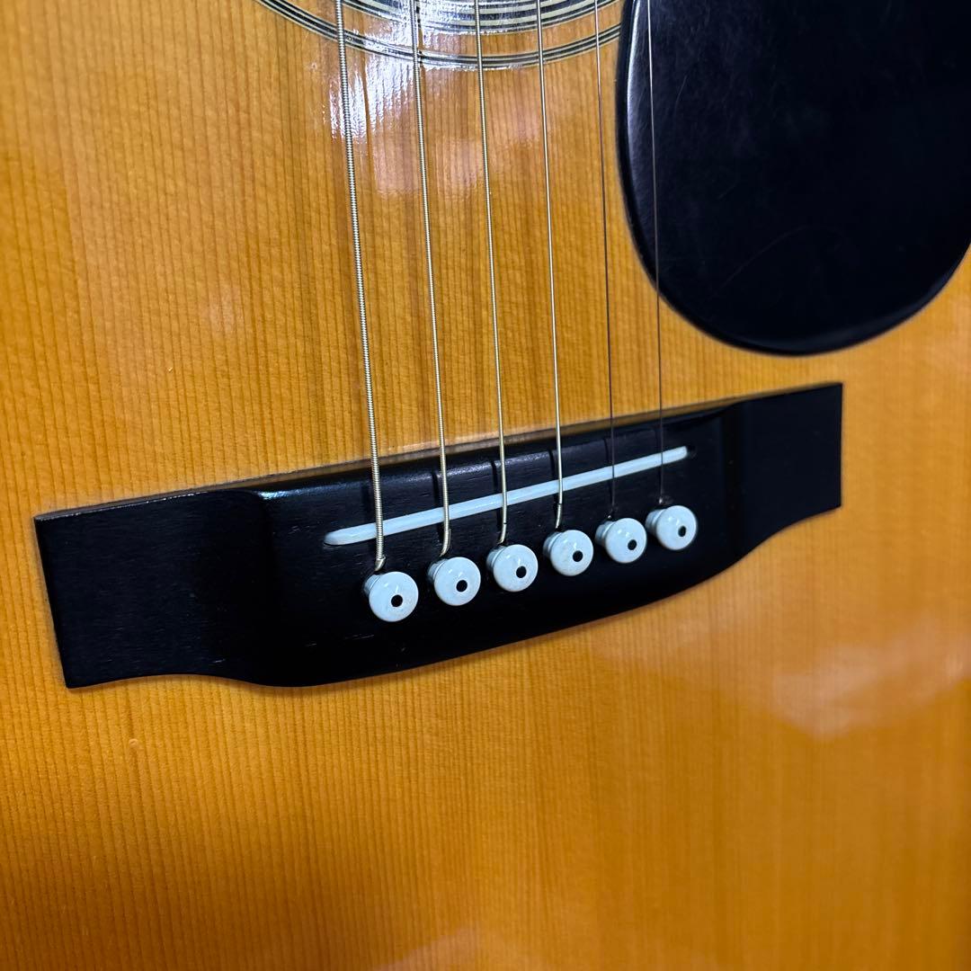 CAT'S EYES CE250 東海楽器　ジャパンビンテージ 新品弦！