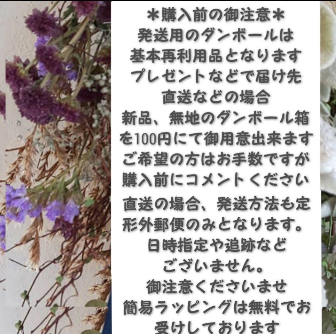 専用✨感謝sale✨迎春2022✨正月飾り レモン  (ドライ)