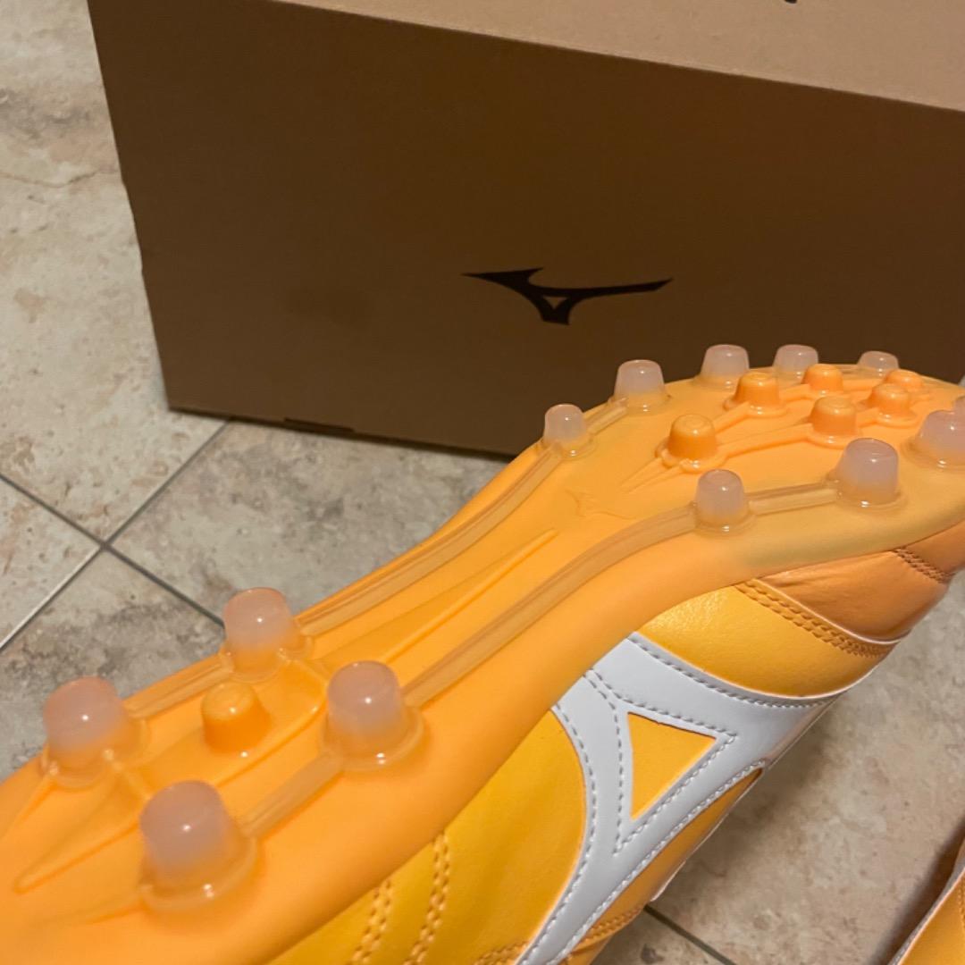 シューズ MORELIA II