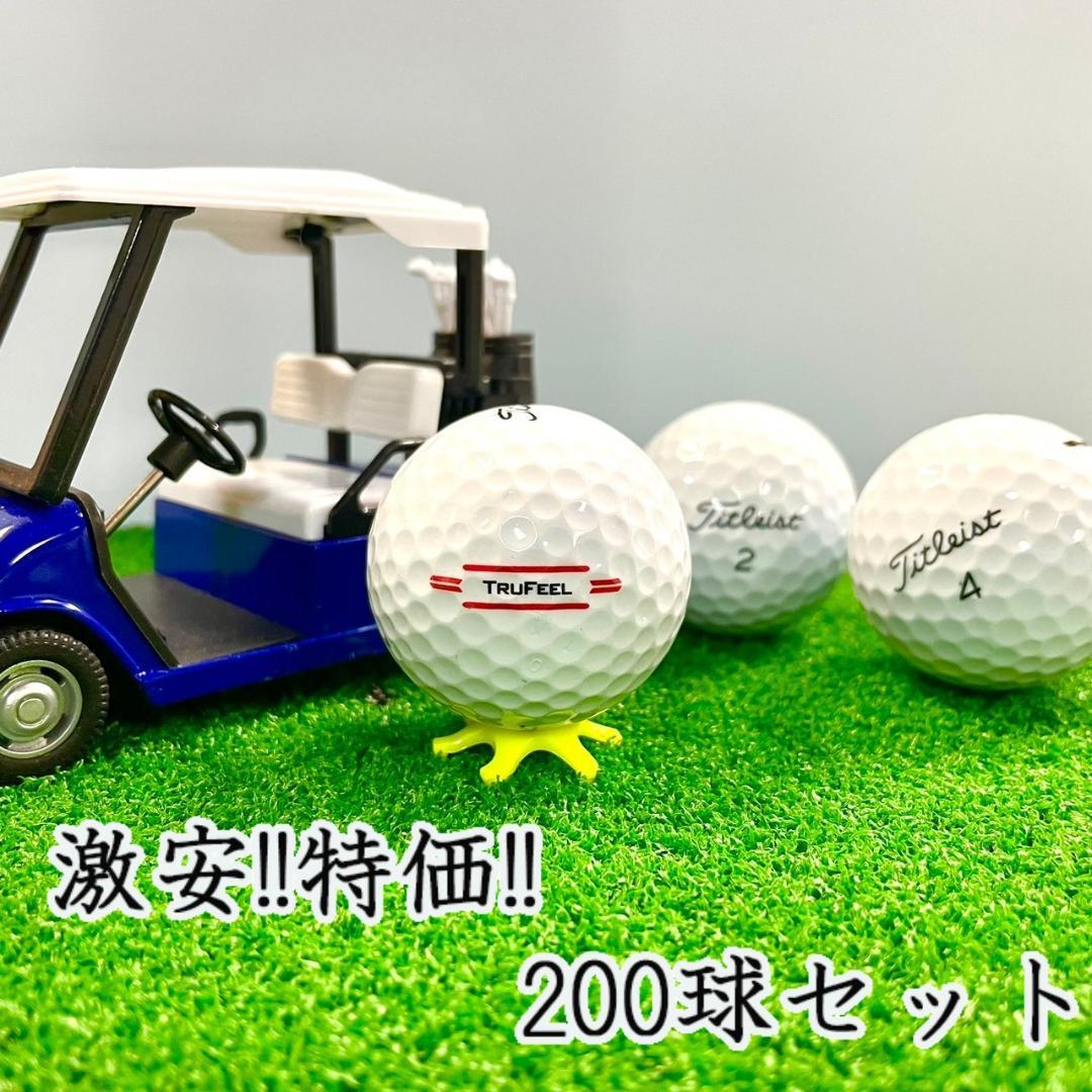 202 ロストボール タイトリスト 各種混合 ホワイト 200球 B